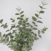 Eucalyptus Long Spray 98cmH